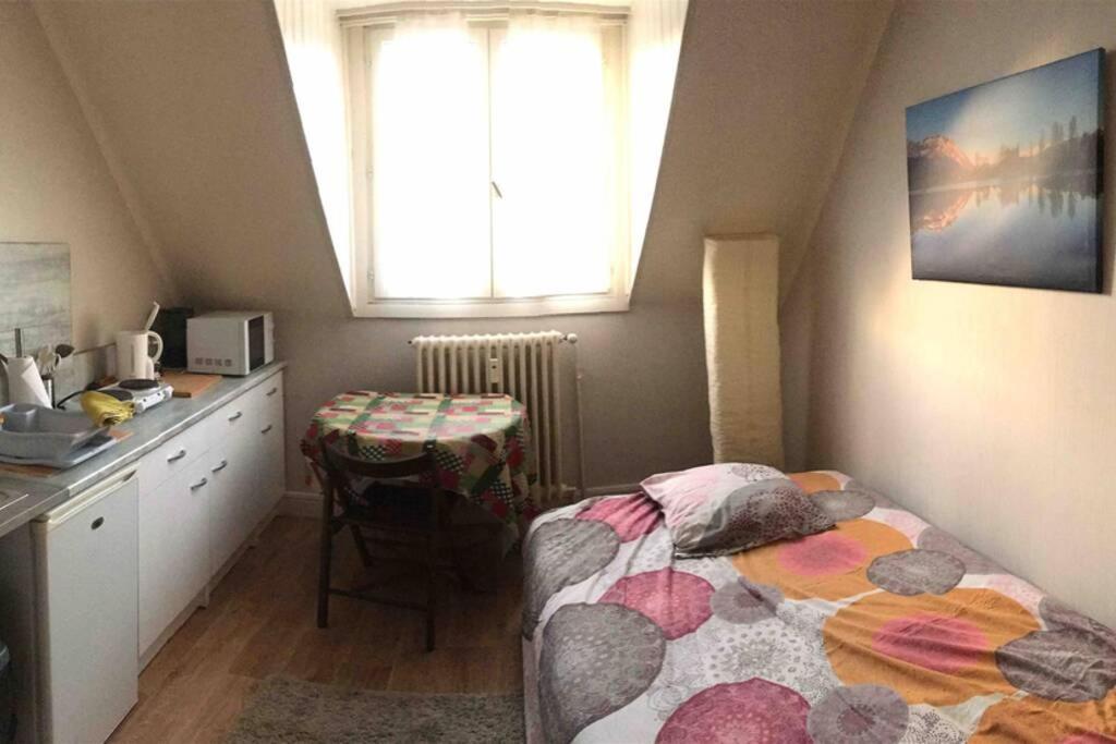 Studio Saint-André Chambéry Extérieur photo